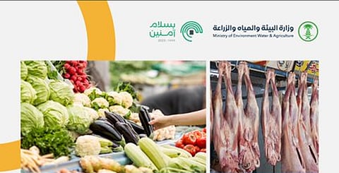 «بيئة الجوف» تضبط 14 مخالفة خلال 996 جولة رقابية على أسواق النفع العام والمسالخ