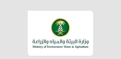 «البيئة» تطرح فرصًا استثمارية جديدة في المدينة المنورة لتعزيز الأمن الغذائي