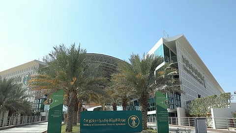 وزارة البيئة والمياه والزراعة