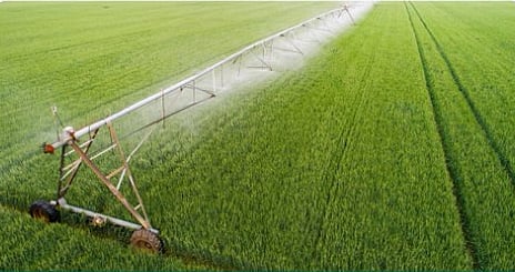 "البيئة": ربط المزارع بالشبكة الكهربائية يرفع كفاءة استهلاك الطاقة واستدامة القطاع الزراعي