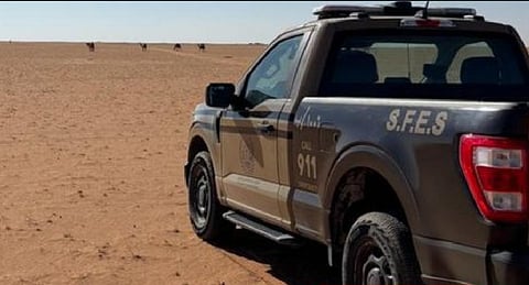 ضبط مواطن لارتكابه مخالفة رعي في محمية الإمام عبدالعزيز بن محمد الملكية