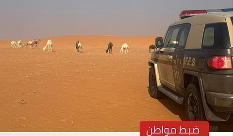 ضبط مواطن للارتكابه مخالفة رعي في محمية الإمام عبدالعزيز الملكية