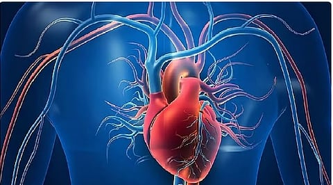 استشاري: الدهون حول القلب تُسَرِّع التهاب الشرايين التاجية