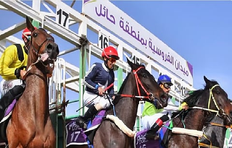 فروسية حائل تطلق غدًا موسمها الجديد