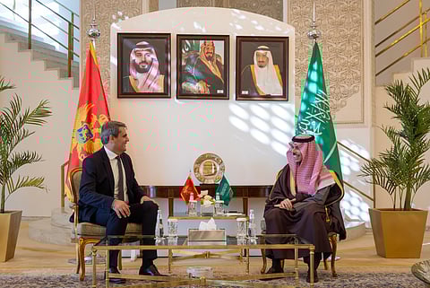 وزير الخارجية يبحث تعزيز التعاون مع نظيره في الجبل الأسود