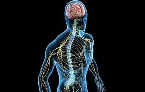«فهد الطبية» توضح أعراض «التصلب اللويحي المتعدد» وطرق التعايش معه