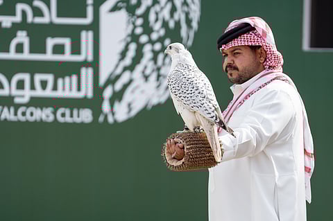 صقور المحترفين تتنافس على جوائز كأس نادي الصقور السعودي 2025 في رابع أيامه