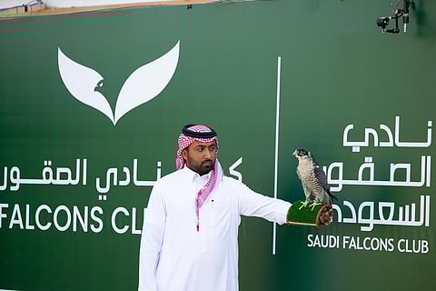 329 صقرًا للمُلّاك تخوض منافسات اليوم الخامس في كأس نادي الصقور 2025