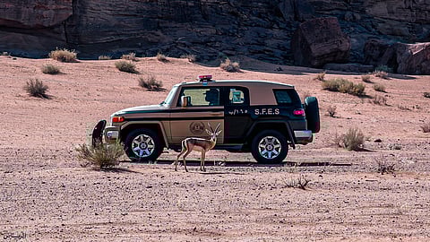 القوات الخاصة للأمن البيئي