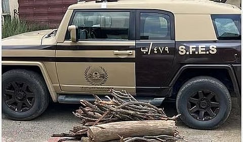 «قوات الأمن البيئي» تضبط مواطنًا لنقله حطبًا محليًا في منطقة المدينة المنورة