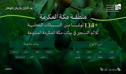 البرنامج الوطني للتشجير