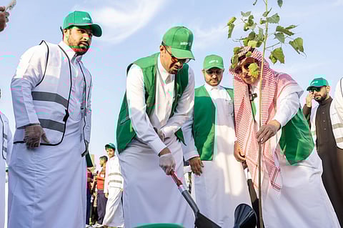 مركز الغطاء النباتي يقدم 80 ألف شتلة محلية ضمن مبادرة «الرياض تتطوع»