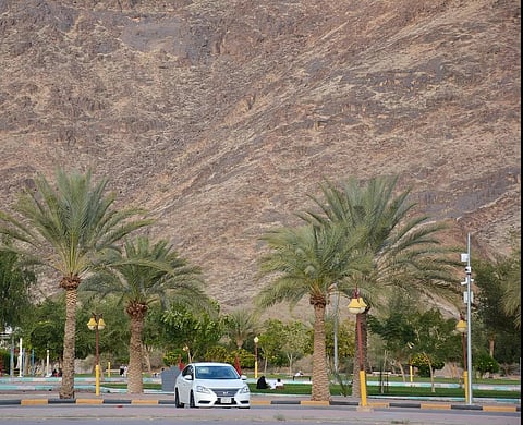 متنزه الأمير جلوي بنجران وجهة للباحثين عن الاستجمام