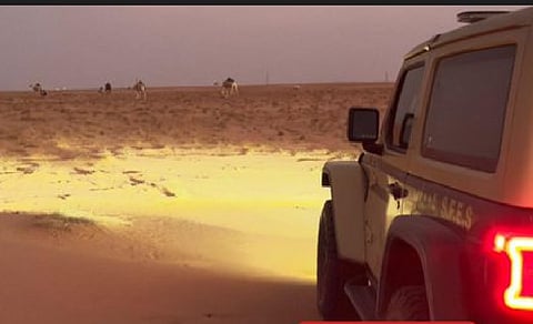 ضبط مواطن لارتكابه مخالفة رعي في محمية الإمام عبدالعزيز بن محمد الملكية