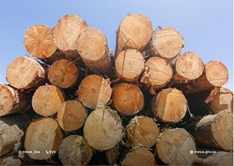 «البيئة» تدعو لحماية الغطاء النباتي والموارد الطبيعية لتعزيز التوازن البيئي في المملكة