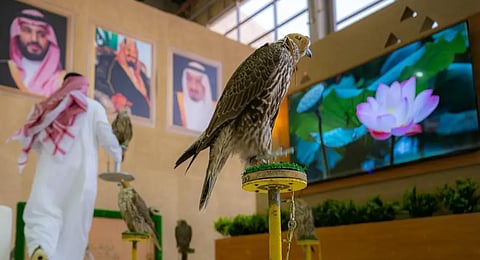 بجوائز تتجاوز 38 مليون ريال.. مهرجان الملك عبدالعزيز للصقور 2025 يعزز مكانة الرياض الاقتصادية والسياحية