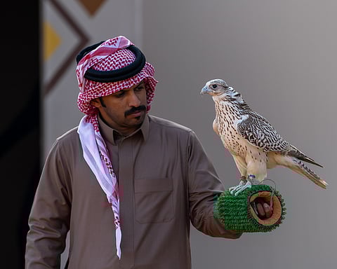 مهرجان الملك عبدالعزيز للصقور 2025