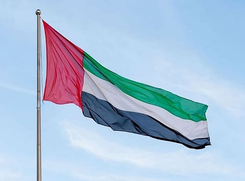 الإمارات: نثمن دور السعودية في خدمة مصالح الشعب اليمني وتحقيق تطلعاته