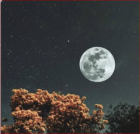 فلكية جدة: سماء 2026 تزخر بالظواهر الفلكية