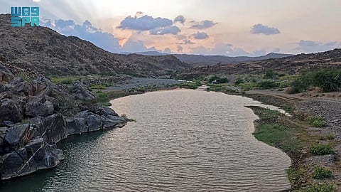 «وادي زعبان».. وجهة سياحية وبيئية تربط قمم عسير بسهول تهامة