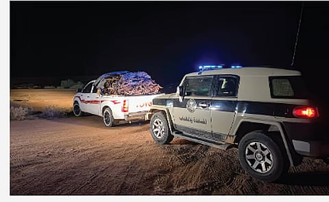 ضبط مخالف لنظام البيئة بحوزته حطب محلي معروض للبيع في حائل