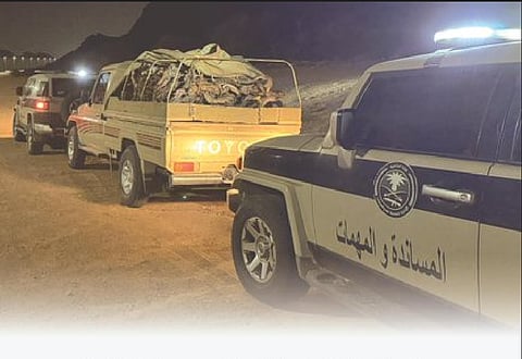 ضبط مواطن مخالف لنظام البيئة بحوزته حطب محلي معروض للبيع بمنطقة حائل