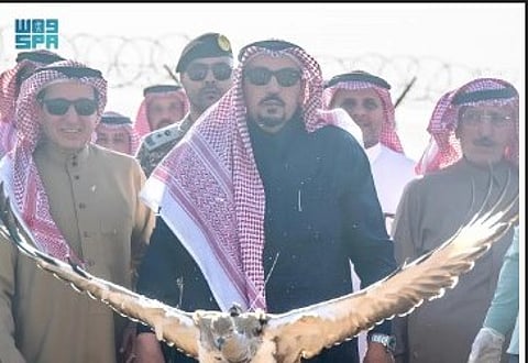 الأمير فيصل بن مشعل يُطلق 20 طائرًا من طيور الحبارى في متنزه القصيم الوطني