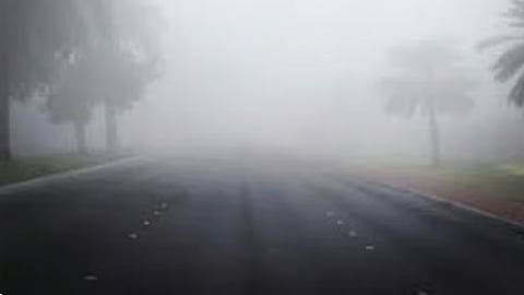 الأرصاد: ضباب بـ 3 مناطق حتى صباح الخميس