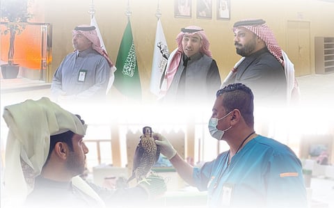 «وقاء» يشارك بفرق بيطرية في مهرجان الملك عبدالعزيز للصقور 2025