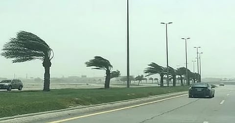 «الأرصاد»: رياح شديدة على منطقتي حائل وتبوك