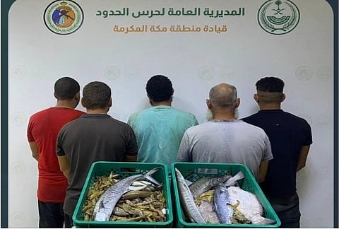 حرس الحدود بمكة المكرمة يضبط 5 مخالفين للائحة الأمن والسلامة لمزاولي الأنشطة البحرية