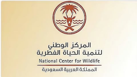 إطلاق 35 كائنًا فطريًا في محمية الملك عبدالعزيز الملكية