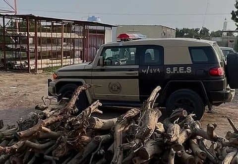 "الأمن البيئي" يضبط مخالفًا لنظام البيئة لاستغلاله الرواسب في منطقة المدينة المنورة