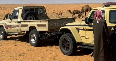 «الأمن البيئي» تضبط مواطنًا لارتكابه مخالفة رعي في محمية الإمام تركي بن عبدالله الملكية