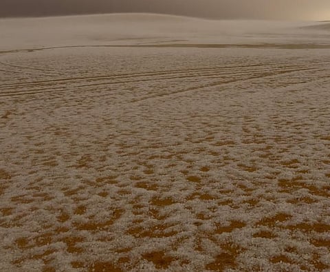 هجرة الطويلة بالأحساء