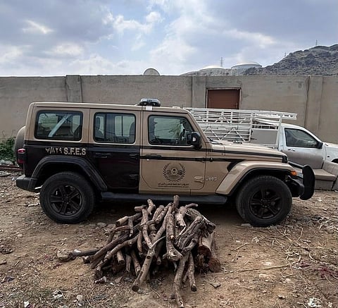 «الأمن البيئي» تضبط مواطنا بحوزته حطبًا محليًا في عسير