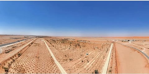 «الغطاء النباتي» يوقع عقودًا لتطوير 3 متنزهات وطنية بمنطقتي الرياض والحدود الشمالية