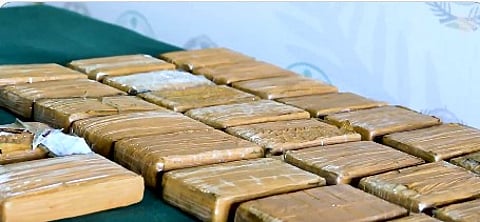 إحباط تهريب أكثر من 29 كيلو غراما من «الكوكايين» في ميناء جدة الإسلامي