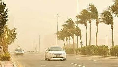 «الحصيني»: الرياح الهابطة تضرب طريق «القصيم – المدينة» وتتسبب في أضرار مفاجئة