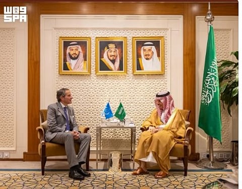 وزير الخارجية يستقبل مدير عام الوكالة الدولية للطاقة الذرية