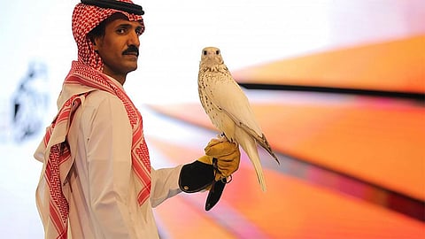 المزاد الدولي لمزارع إنتاج الصقور يعرض أغلى "جير" في العالم