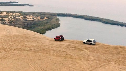 بالصور.. سفاري الأحساء يجذب العائلات وهواة المغامرة في «صيف السعودية»