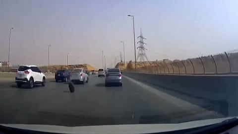 بالفيديو.. «استبن» يتحرر من مركبة ويراوغ السيارات على طريق سريع بالمملكة