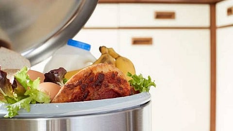 أمانة جدة: ترك بقايا الطعام يهدد الصحة والبيئة بـ 6 أضرار