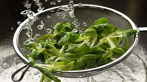 خبيرة تغذية تنصح بتناول الخضروات الورقية.. وتحدد أهم 6 أصناف