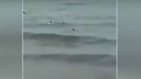 «الأرصاد» يوضح المناطق الساحلية المتأثرة بارتفاع الموج.. الأربعاء