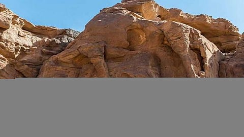 دراسة: موقع الجمل بمنطقة الجوف «الأقدم» في العالم