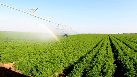 «ريف» يكشف الفئات المستهدفة وشروط الترشح للبرنامج