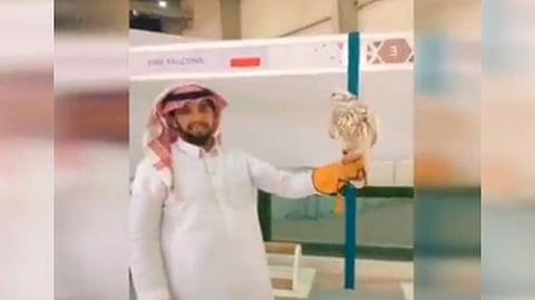 بالفيديو.. الكشف عن أغلى صقر في السعودية.. سعره وصل إلى مليون و750 ألف ريال