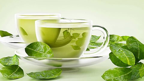 طرق تحضير كريم الشاي الأخضر للبشرة الدهنية